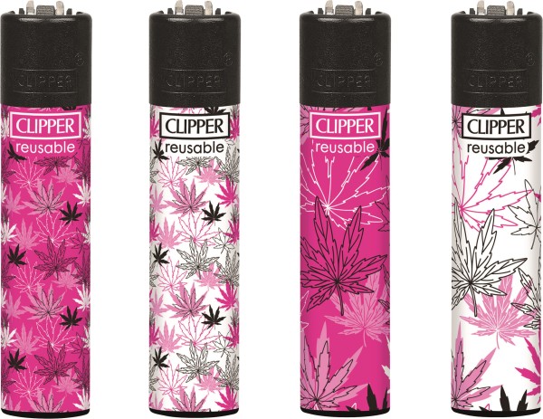 CLIPPER FZG. PINK LEAVES 2